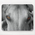 Greyhound Eyes mousepads