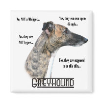 Greyhound FAQ Magnet