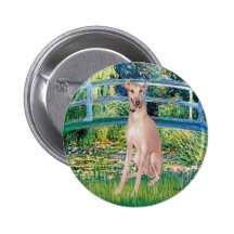 Greyhound (fawn 2) - Bridge Pinback Buttons
