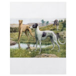 Greyhound flyers