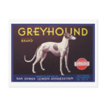 Greyhound Fruit Crate Label postcards
