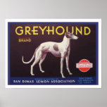 Greyhound Fruit Crate Label posters
