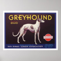Greyhound Fruit Crate Label