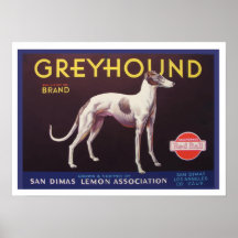 Greyhound Fruit Crate Label Posters