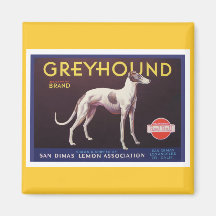Greyhound Fruit Crate Label Refrigerator Magnet