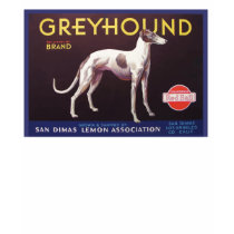 Greyhound Fruit Crate Label