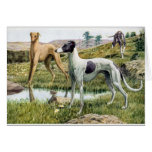 Greyhound Greeting Card