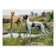 Greyhound Greeting Card
