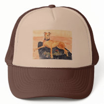 Greyhound Hat