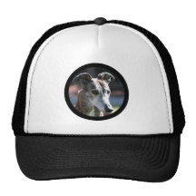 Greyhound hat