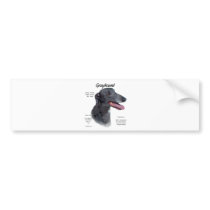 Greyhound History Design