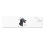 Greyhound History Design bumper stickers