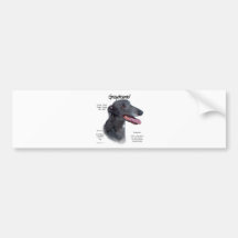 Greyhound History Design Bumper Stickers