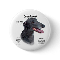 Greyhound History Design