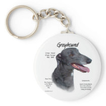 Greyhound History Design