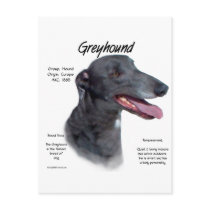 Greyhound History Design