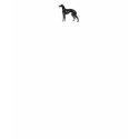 Greyhound in Black and White t-shirts
