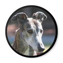 Greyhound magnet