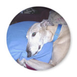 Greyhound Magnet
