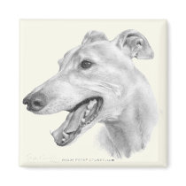 Greyhound