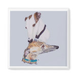 Greyhound magnet