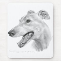 Greyhound