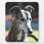 Greyhound mousepad