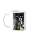 Greyhound mug