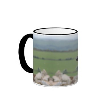 Greyhound photo mug 03