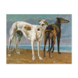 Greyhound Painting - Two Greyhounds - Vintage Art postcards
