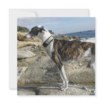 Greyhound Photo Invitation