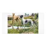 Greyhound photo cards