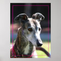 Greyhound poster posters