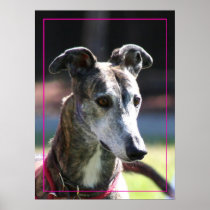 Greyhound poster