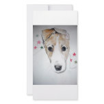 Greyhound Puppy photo cards