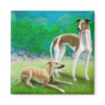 Greyhound Racing Dogs magnets