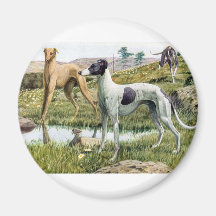 Greyhound Refrigerator Magnets
