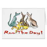 greyhound roo cards