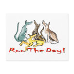 greyhound roo postcards