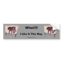 Greyhound Sleeping In Chair Funny Bumper Sticker