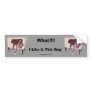 Greyhound Sleeping In Chair Funny Bumper Sticker