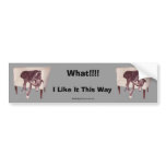 Greyhound Sleeping In Chair Funny Bumper Sticker bumper stickers