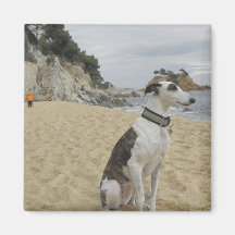 Greyhound Square Magnet
