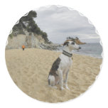 Greyhound Stickers