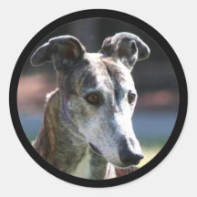 Greyhound stickers