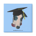 Greyhound The Graduate Dog Photo Funny Magnet