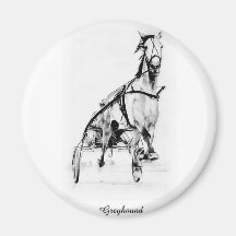 Greyhound Trotter Magnets