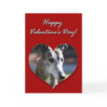 Greyhound Valentines Day Card