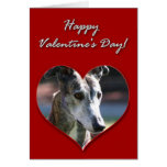 Greyhound Valentines Day Card