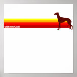 Greyhound With Stripes Print
